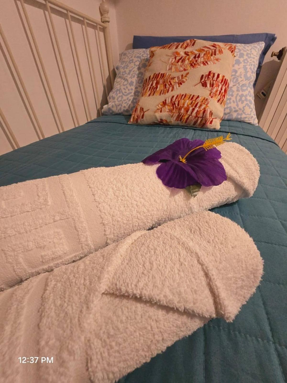 Cleo Apartment