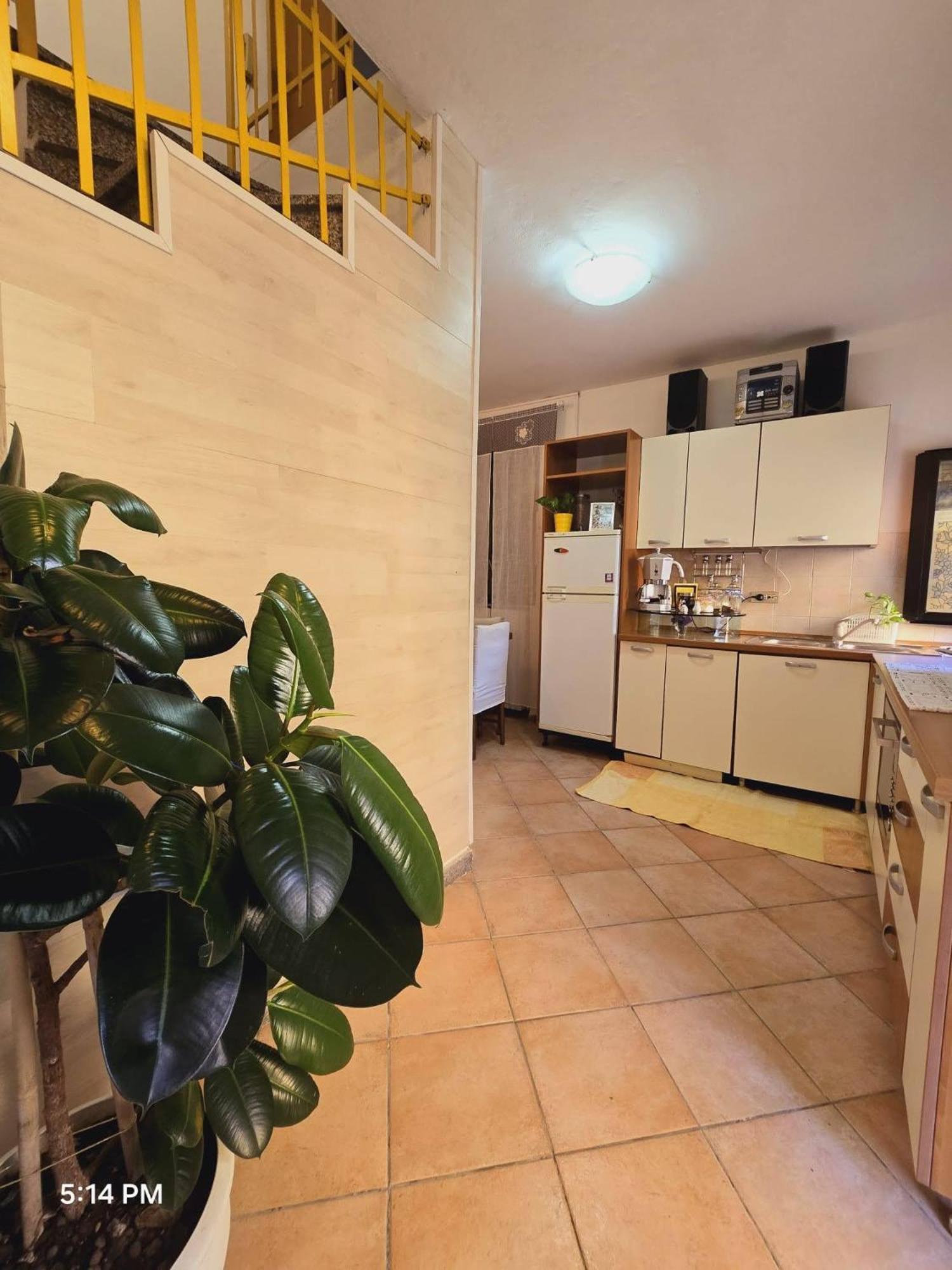 Cleo Apartment *
